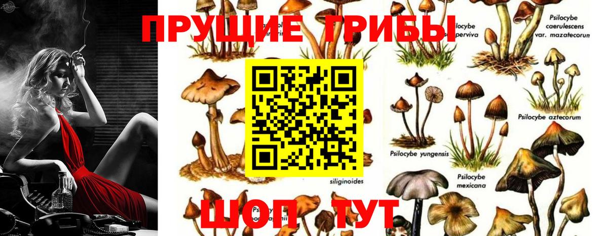 Псилоцибиновые грибы мухоморы Златоуст