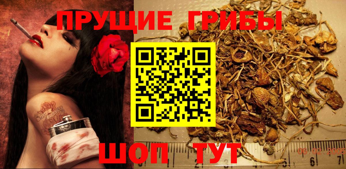 Златоуст  даркнет сайт  Вход с VPN  Галлюциногенные грибы Magic Shrooms 